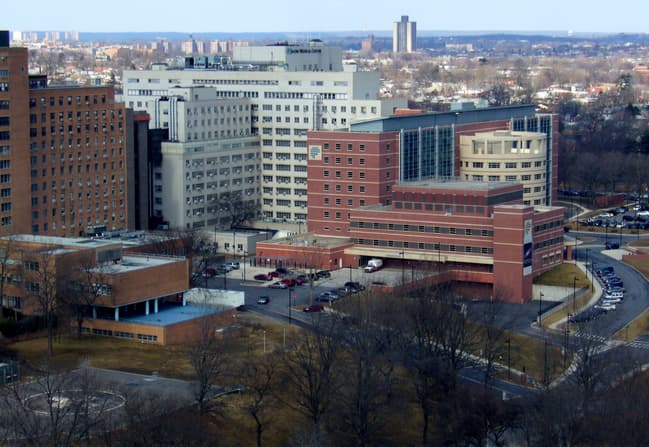 Big City Scrubs: Comfort for the Rhythm of New York